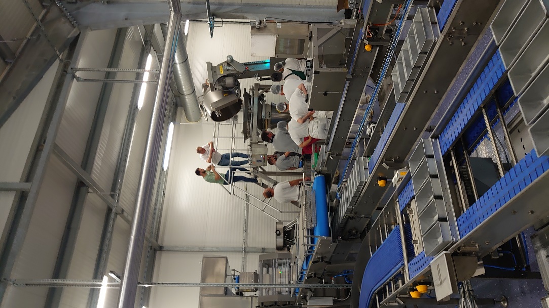 Автоматизированная линия для производства тостового хлеба производительность 25 т/сутки